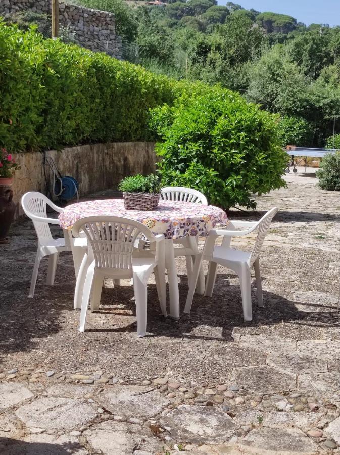 Villa Bouganvilla Cefalù Dış mekan fotoğraf